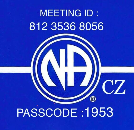 Zoom meeting pro české skupiny NA
