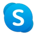 Skype Meeting