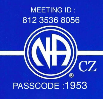 České skupiny NA na Zoom